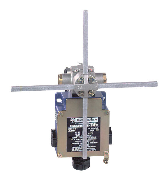 Telemecanique Sensors XCKMR54D1H29EX Endschalter – AOI Now