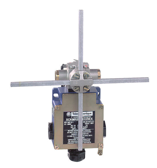 Telemecanique Sensors - XCKMR54D2H29EX