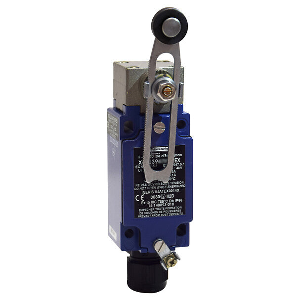 Telemecanique Sensors XCKJ390541H29EX – AOI Now