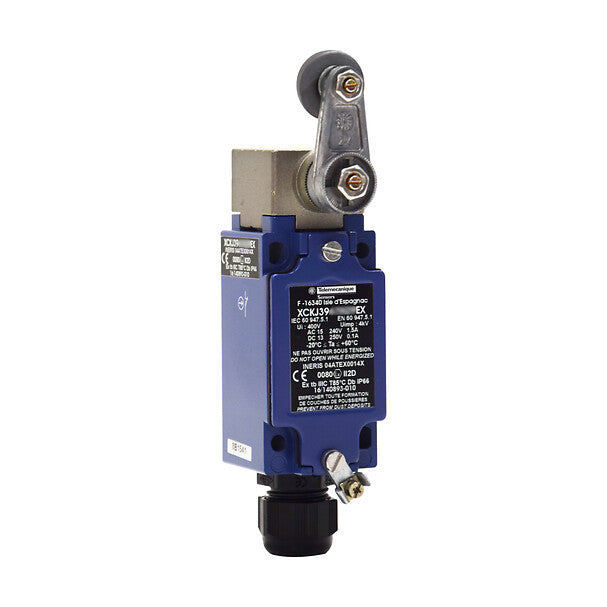 Telemecanique Sensors XCKJ390513H29EX – AOI Now