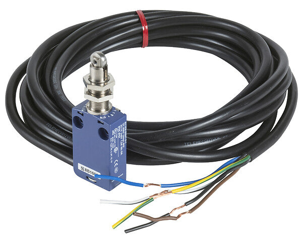 Telemecanique Sensors XCMD21F2L2 – AOI Now