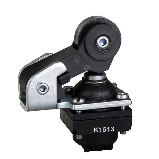 Telemecanique Sensors ZCKD25 – AOI Now